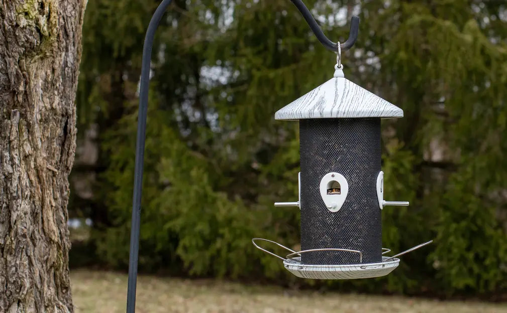BirdFeeder Woodgrain Finish Dicksons Inc