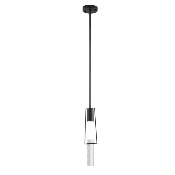 Black And Clear Transparent Metal LED Dimmable Chandelier With Clear Shades GreatEagleInc
