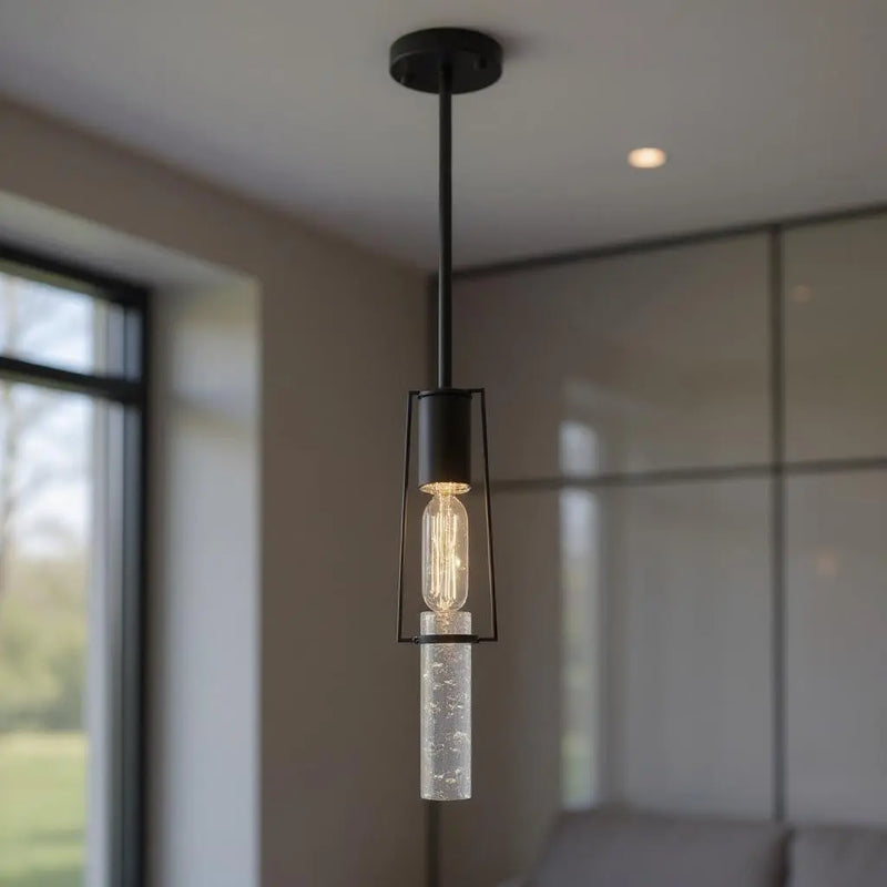 Black And Clear Transparent Metal LED Dimmable Chandelier With Clear Shades GreatEagleInc