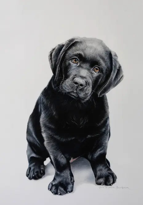 Black Labrador Puppy - Joni Monroe Beinborn Portrait House and Garden Flag Best of Breed