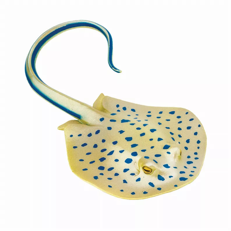 Blue Spotted Ray Safari LTD