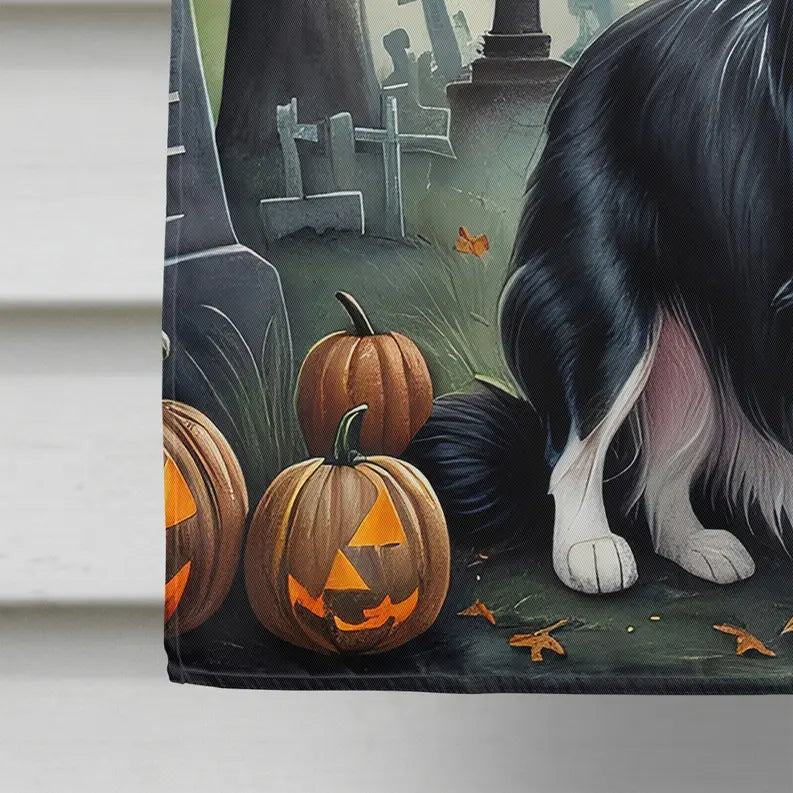 Border Collie Spooky Halloween House Flag Caroline's Treasures