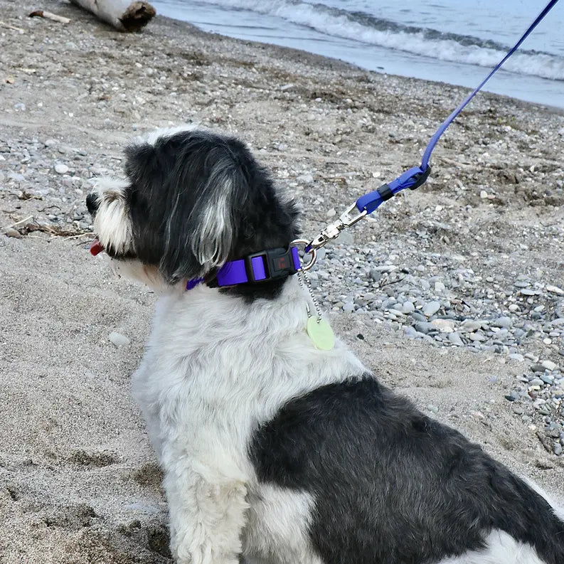 Boss Adjustable Leash Ultrahund