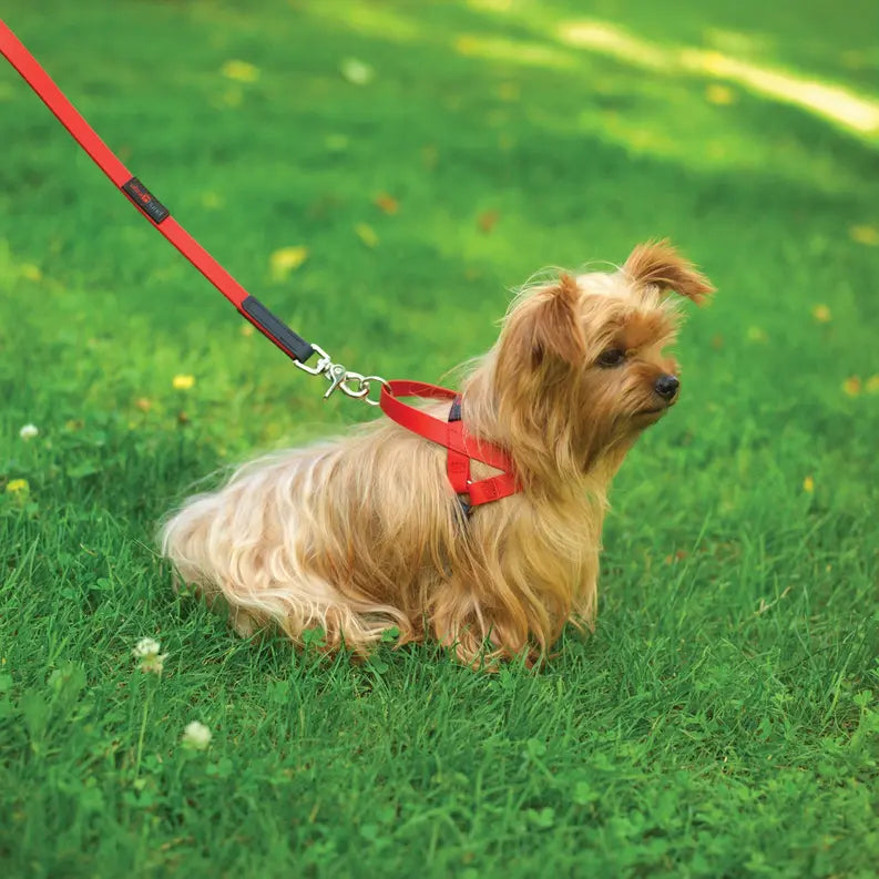 Boss Regular Leash Ultrahund