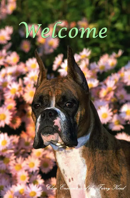 Boxer Cropped  - Close Encounters of the Furry Kind Welcome  House and Garden Flags Best of Breed