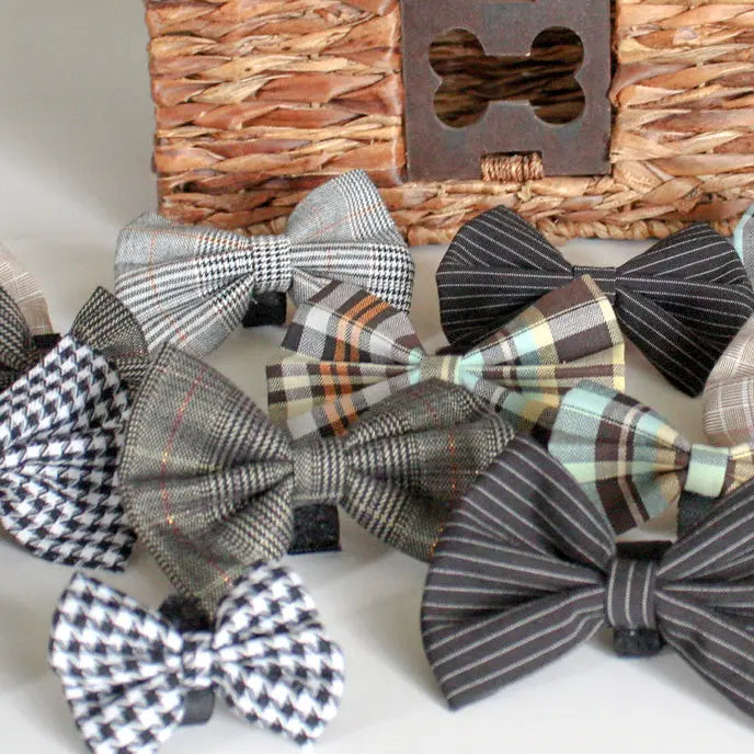 Boys Bowtie Budget Bundle|Pets Ribbons Pets Ribbons