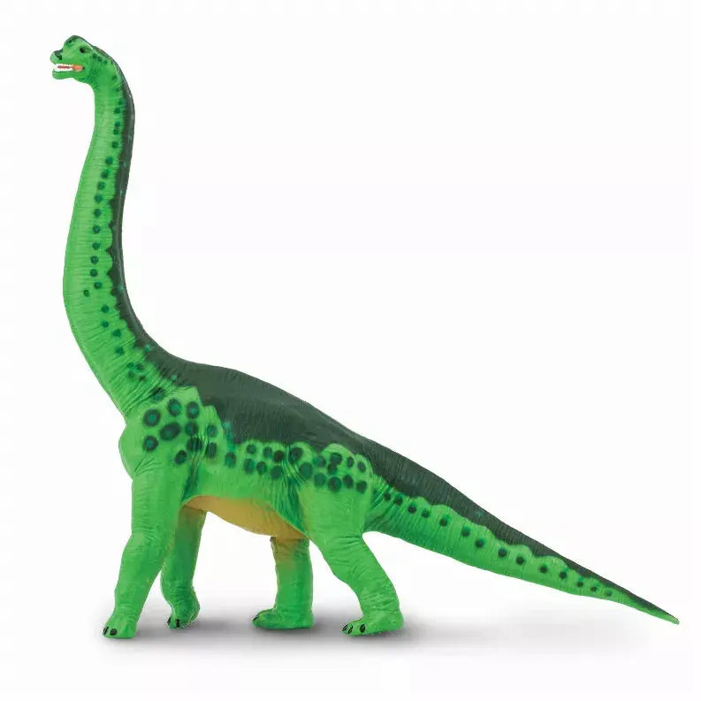 Brachiosaurus Safari LTD