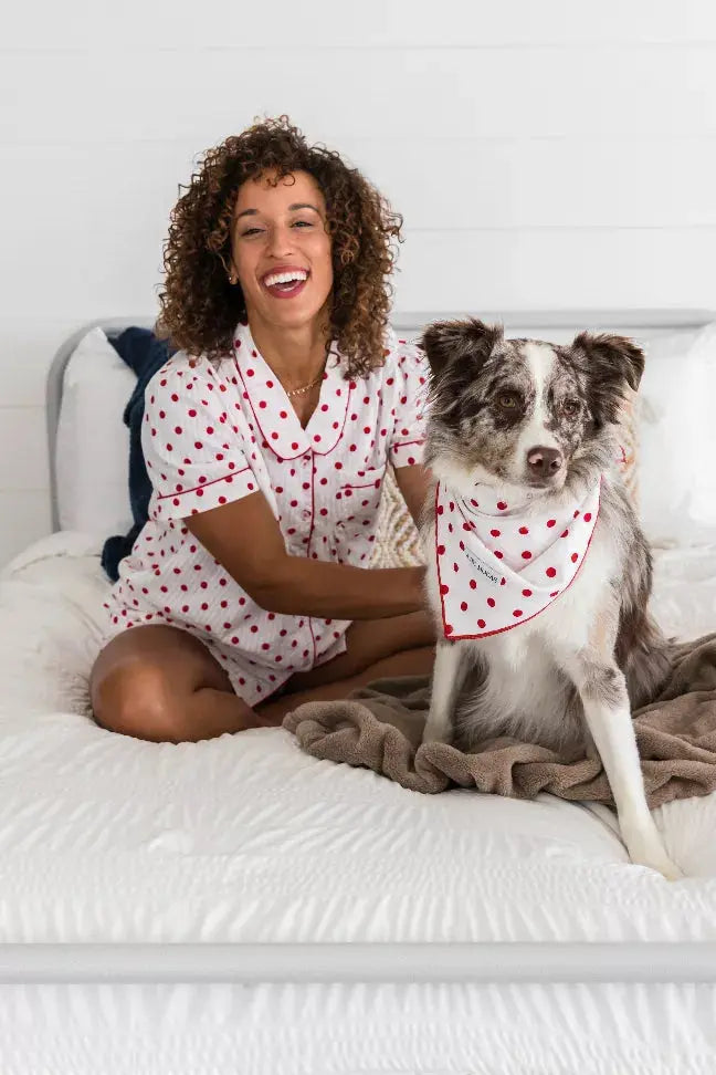 Buddy Dog Bandana Alto Modas