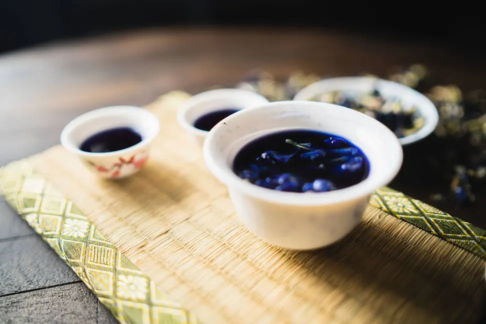 Butterfly Pea Flower Western Immortal