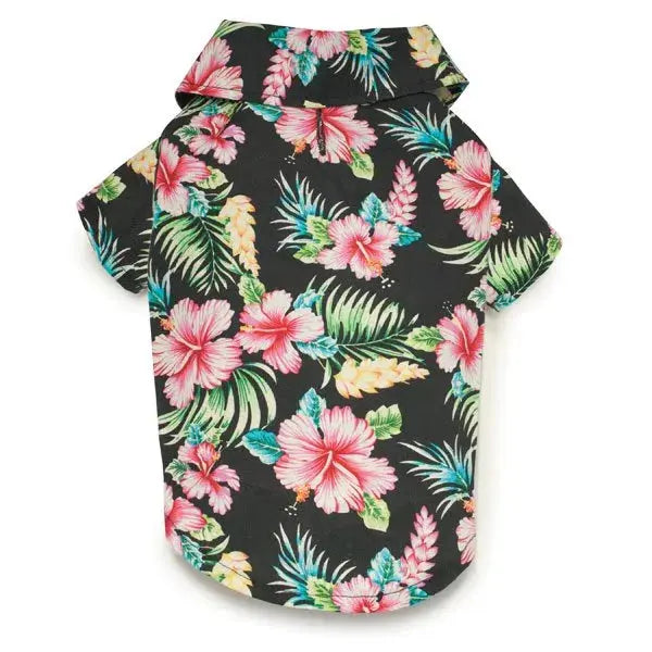 CC Hawaiian Breeze Camp Shirt Casual Canine
