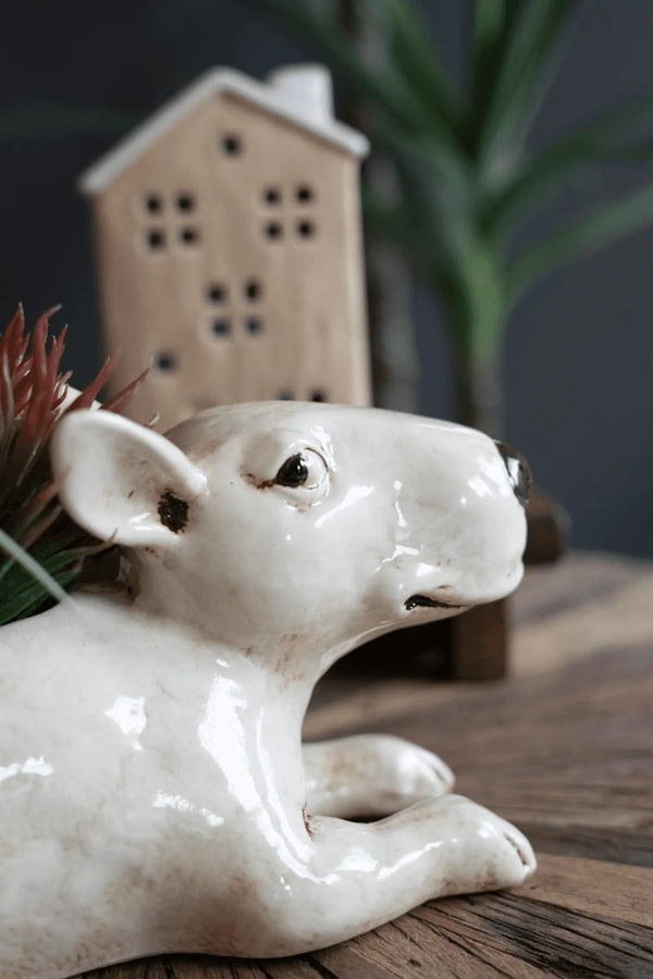 CERAMIC BULL TERRIER PLANTER Kalalou