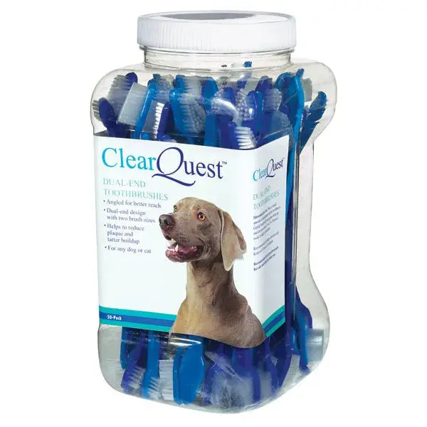 CQ Dual-End Brush 50Pk Clear Quest