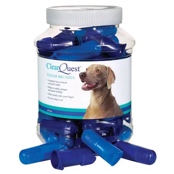CQ Finger Brush 50Pk Clear Quest