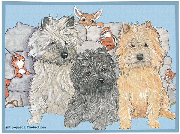 Cairn Terriers - Best of Breed Dog Breed Fleece Blanket Best of Breed
