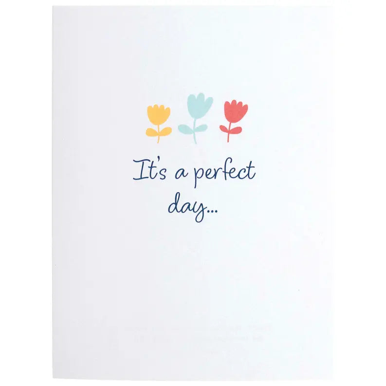 Card Set Birthday Cute Birds Scripture Dicksons Inc