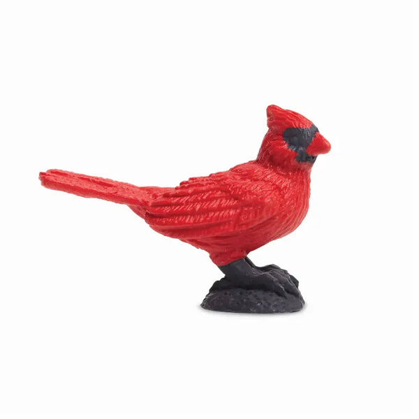 Cardinals Safari LTD