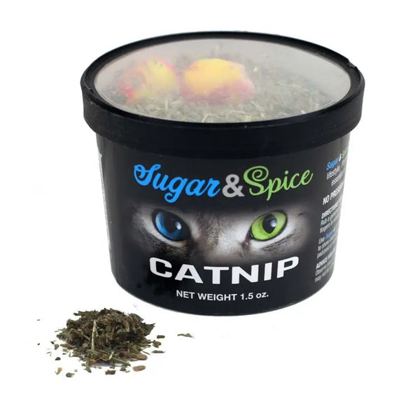 Catnip Container ChewMax Pet Products