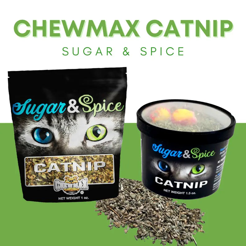 Catnip Container ChewMax Pet Products