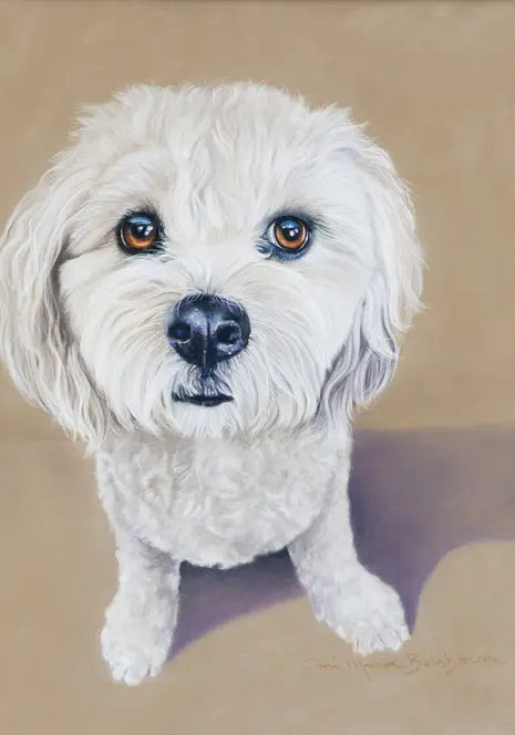 Cavachon - Joni Monroe Beinborn Portrait House and Garden Flag Best of Breed