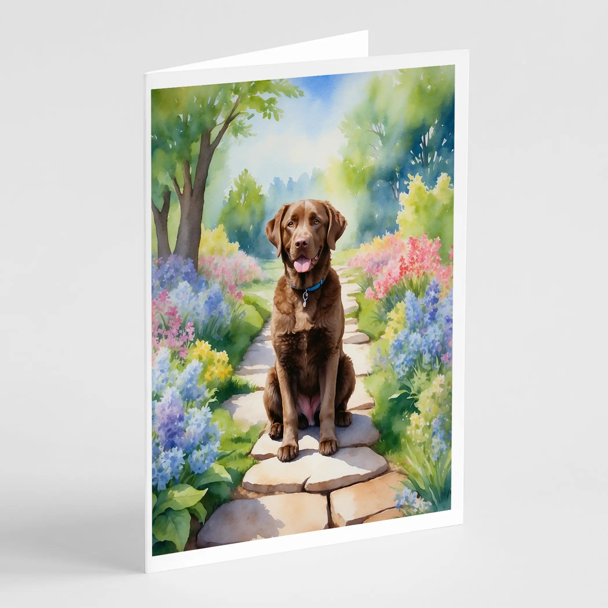 Chesapeake Bay Retriever Spring Path Greeting Cards Pack of 8 Caroline's Treasures