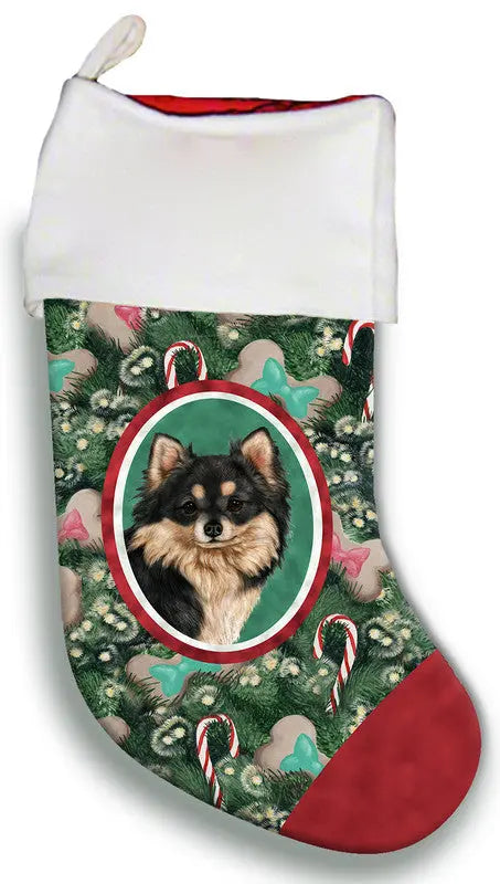 Chihuahua Longhaired Black/White - Best of Breed Christmas Stocking Best of Breed
