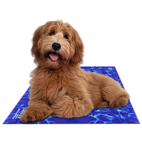 Chillz Gel Mat XL Wave The Green Pet Shop