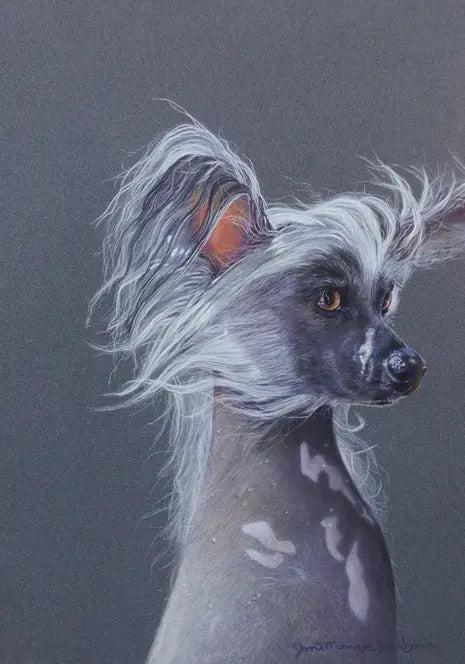 Chinese Crested  - Joni Monroe Beinborn Portrait House and Garden Flag Best of Breed