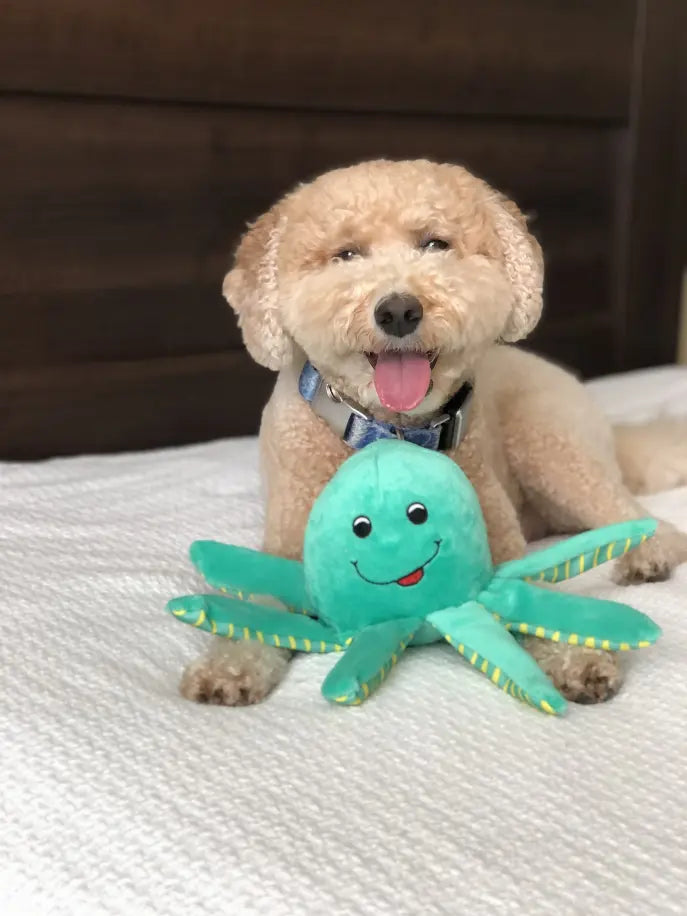 Clean Earth Plush Toy Spunky Pup Dog Toys