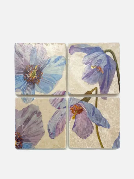 Coaster Set India & Purry