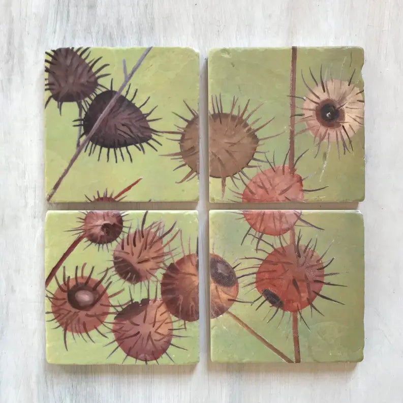Coaster Set India & Purry