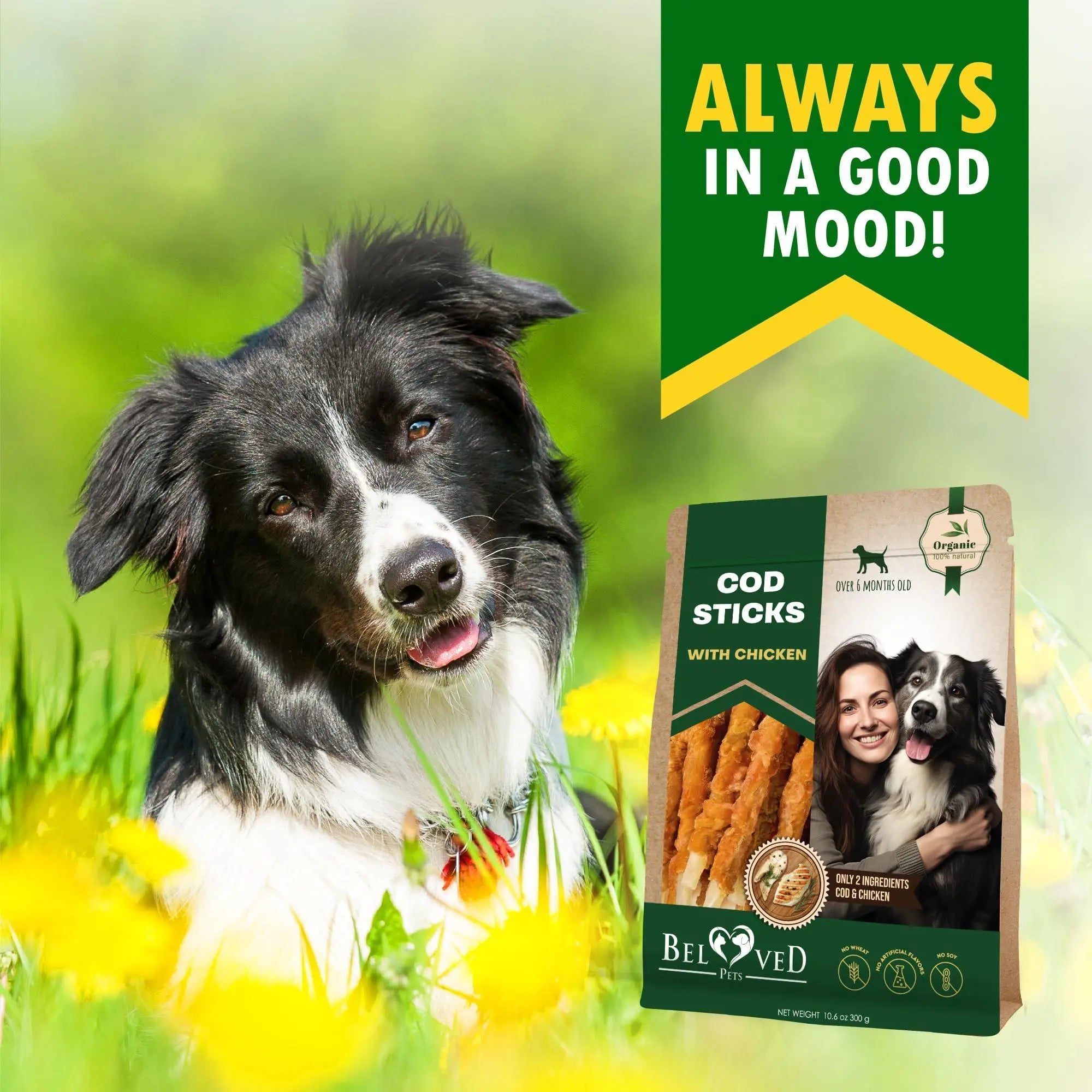 Cod Sticks Dog Treats Chicken Wrapped   All Natural Rawhide   Free & Grain Free Long Lasting Chews for Large & Small Dogs   Organic Dried Pet Snacks   Support Healthy Teeth & Skin Coat Beloved Pets