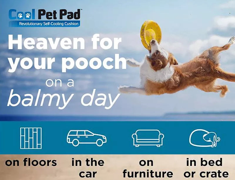 Cool Pet Pad The Green Pet Shop