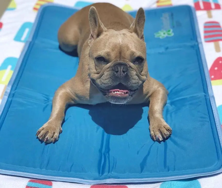 Cool Pet Pad The Green Pet Shop