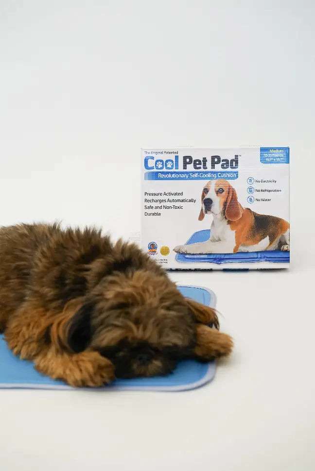 Cool Pet Pad The Green Pet Shop