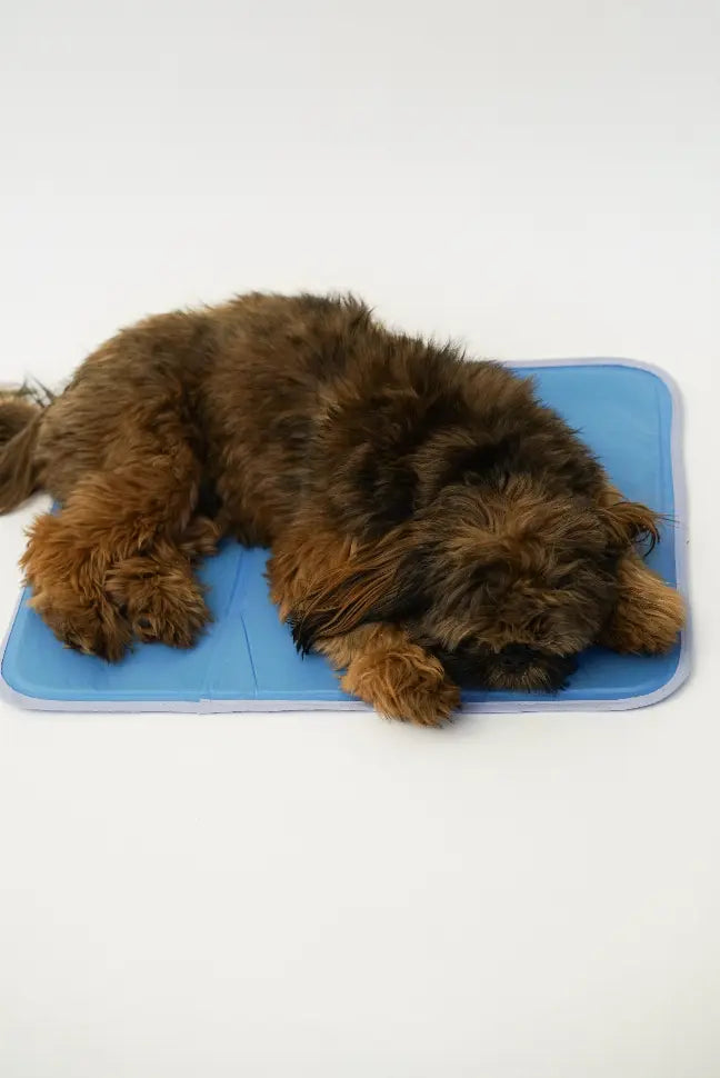 Cool Pet Pad The Green Pet Shop