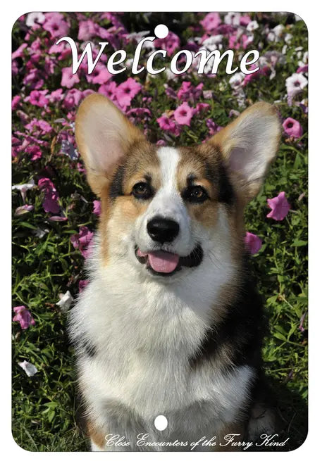 Corgi Pembroke Welsh - Best of Breed  Indoor/Outdoor Aluminum Sign Best of Breed
