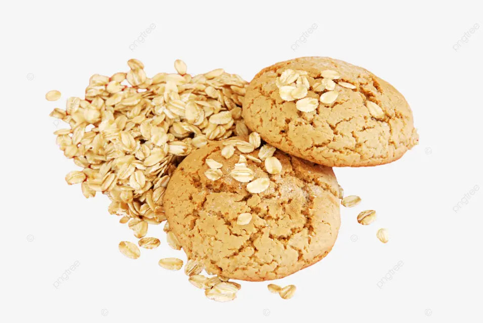 Crispy Oatmeal Chip Dog Treats Pupums