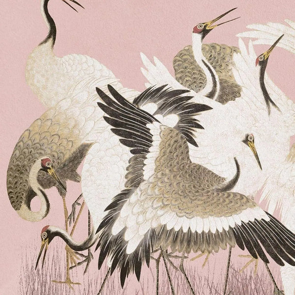 Curious Cranes - Plumule Silver Floater Frame Wall Art Homeroots Home Decor