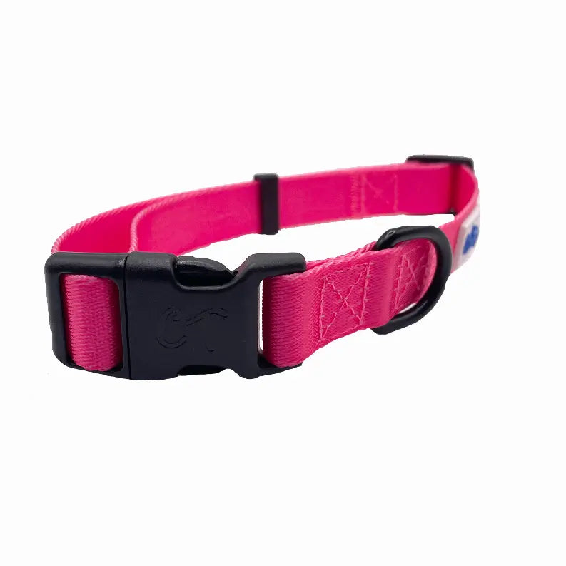 Cutie Ties Fun Design Dog Collar Cutie Ties