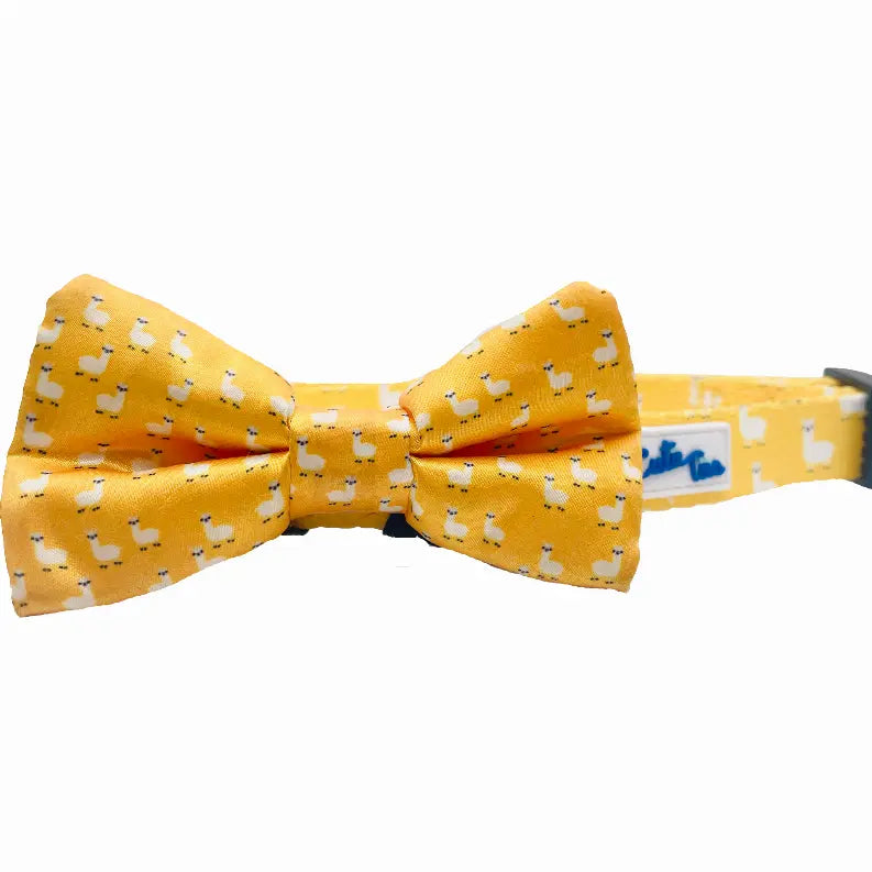 Cutie Ties Fun Design Dog Collar Cutie Ties