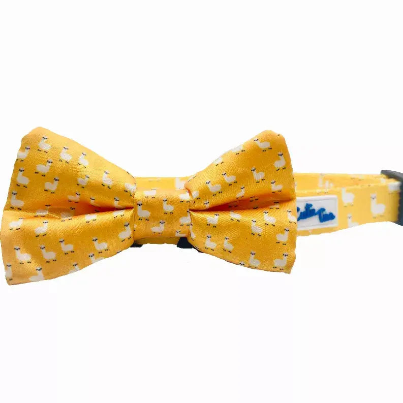 Cutie Ties Fun Design Dog Collar Cutie Ties