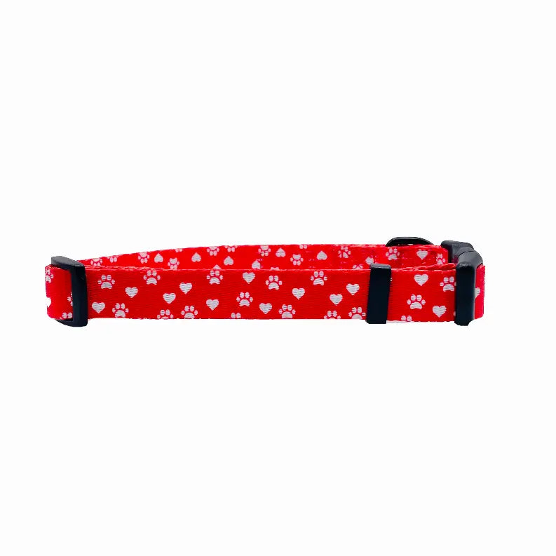 Cutie Ties Fun Design Dog Collar Cutie Ties