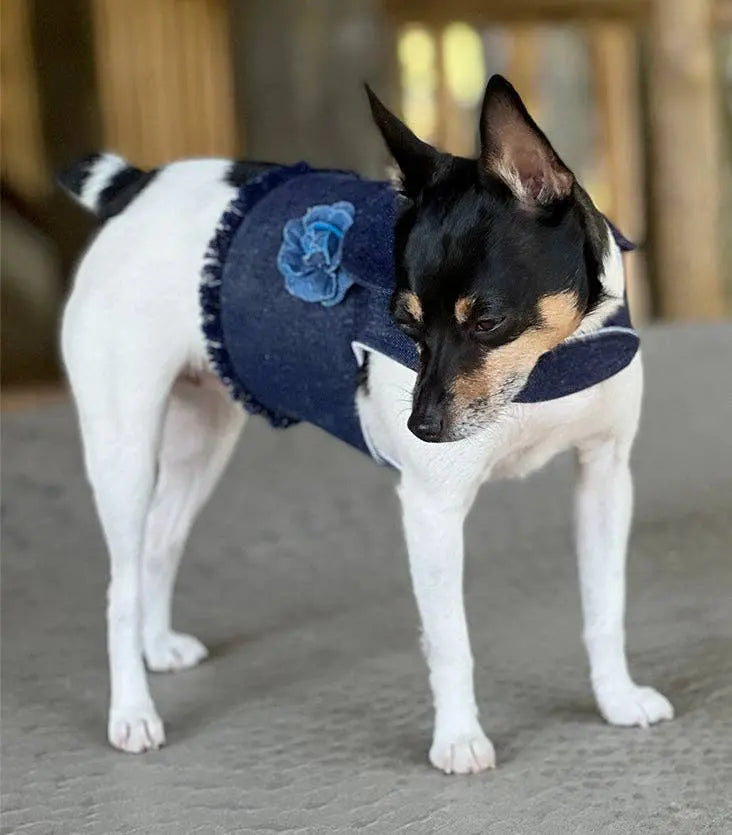 DCNY Harness Vest DoggieCoutureNY