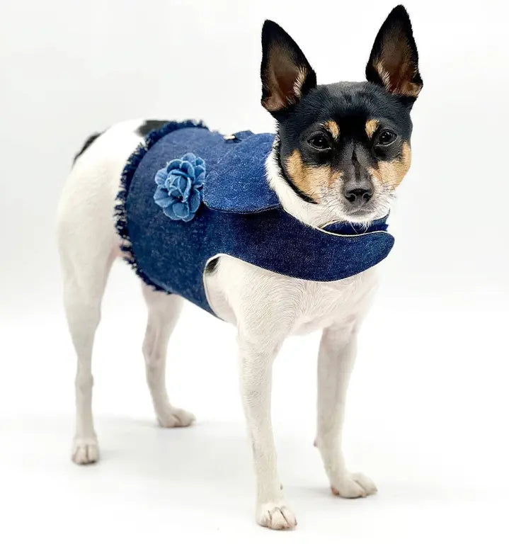 DCNY Harness Vest DoggieCoutureNY
