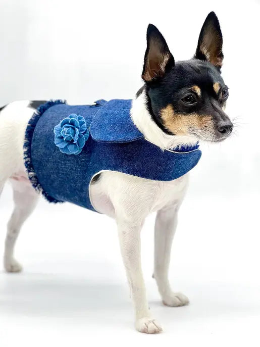 DCNY Harness Vest DoggieCoutureNY