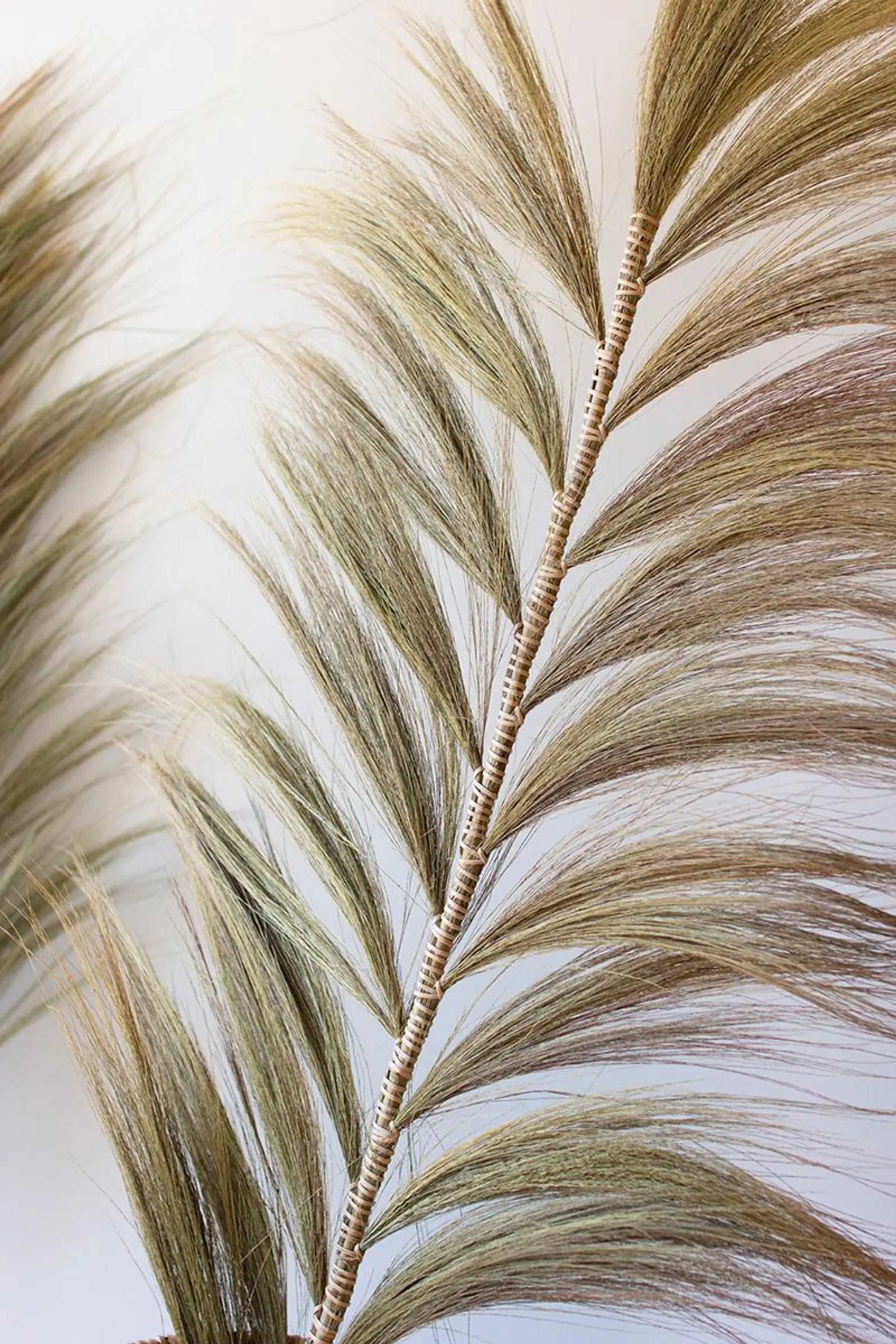 DECORATIVE FAN PALMS WITH BAMBOO STEMS Kalalou