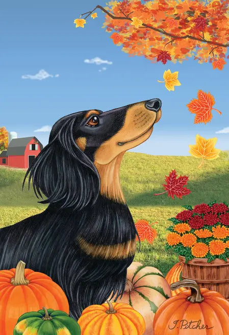 Dachshund  Black/Tan Longhaired - Tomoyo Pitcher Autumn Leaves Outdoor Flag Best of Breed