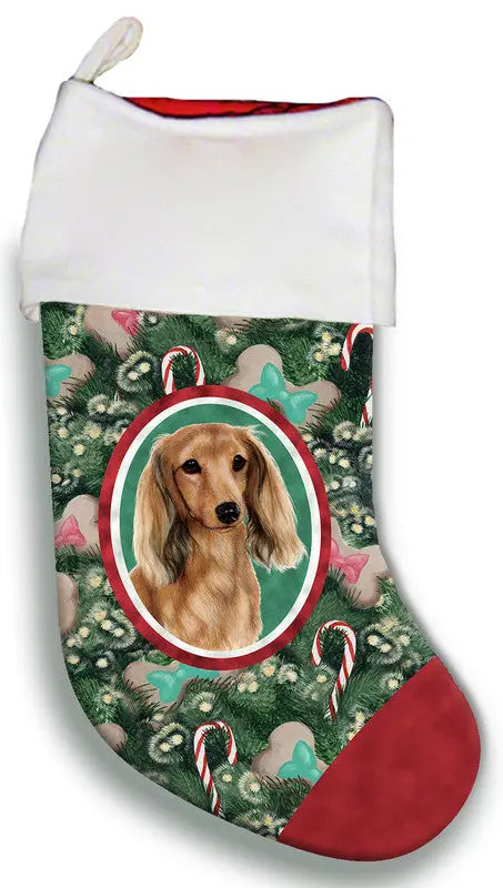 Dachshund Longhaired Cream - Best of Breed Christmas Stocking Best of Breed