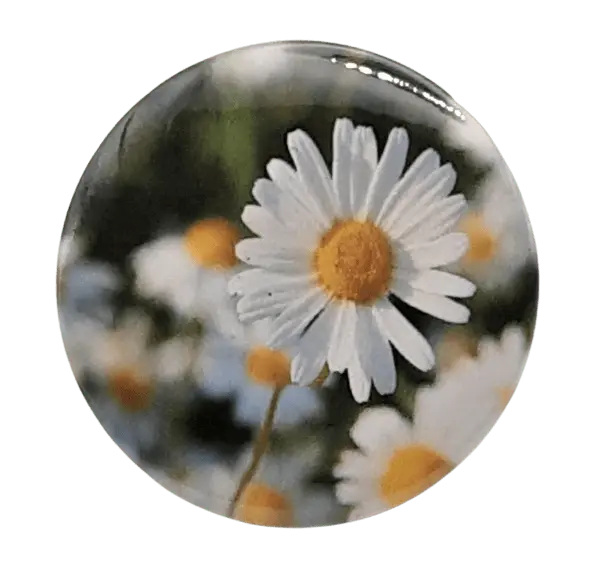 Daisy Bravo Buttons