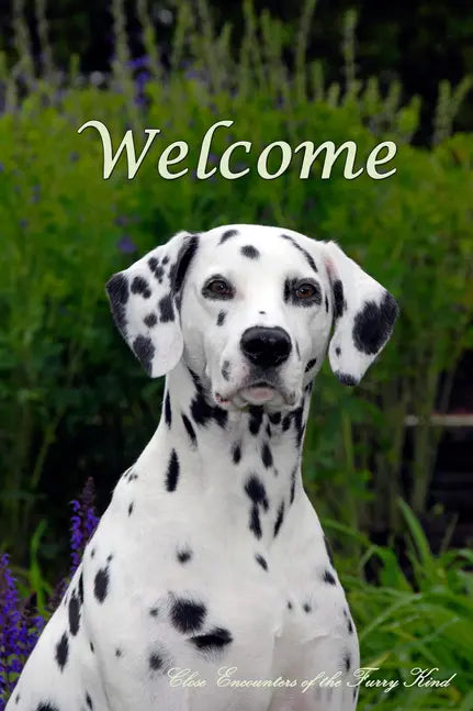 Dalmatian - Close Encounters of the Furry Kind Welcome  House and Garden Flags Best of Breed